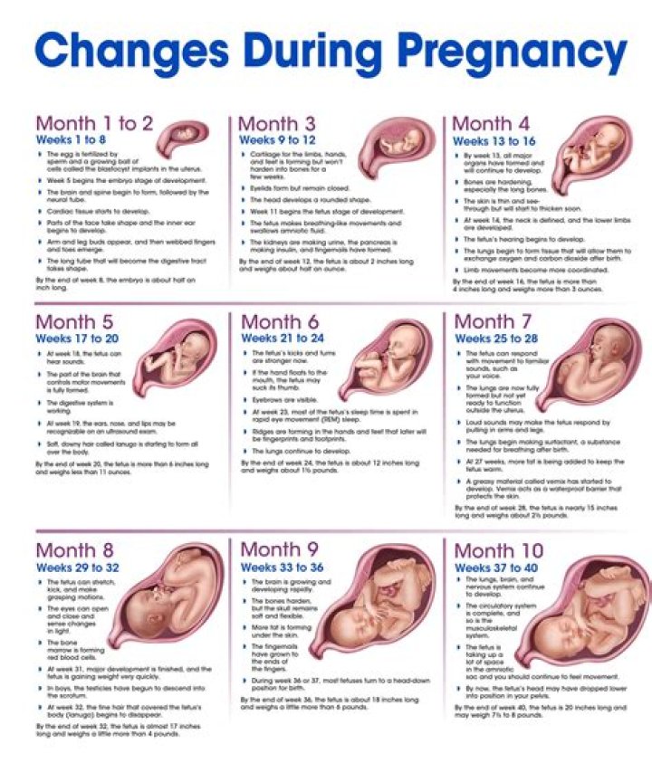 The Ultimate Guide To Ariana Grande's Pregnancy Journey